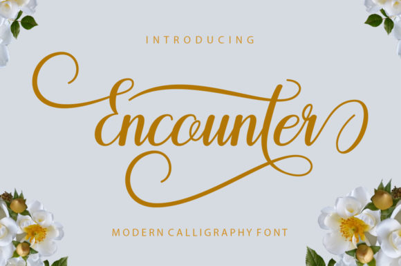 Encounter: A Modern Script Font That Elevates Digital Branding
