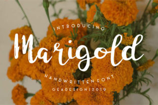 Marigold Font: A Handwritten Typeface That Builds Trust