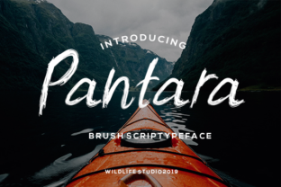 Pantara: A Bold, Natural Script Font for Handmade Brands