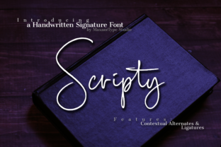 Scripty: A Handwritten Font That Feels Human on Screen