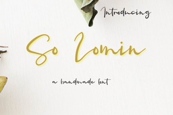 So Lomin: A Bold Handwritten Font for Scroll-Stopping Marketing